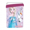 Trapunta Invernale Disney Frozen Singola Disegno Piazzato
